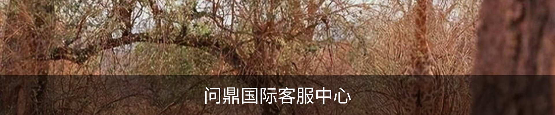 问鼎国际客服中心